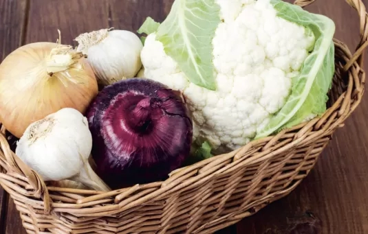 Autisme anders bekeken