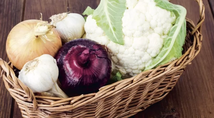 Autisme anders bekeken